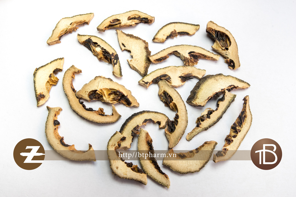 Chỉ Xác phiến