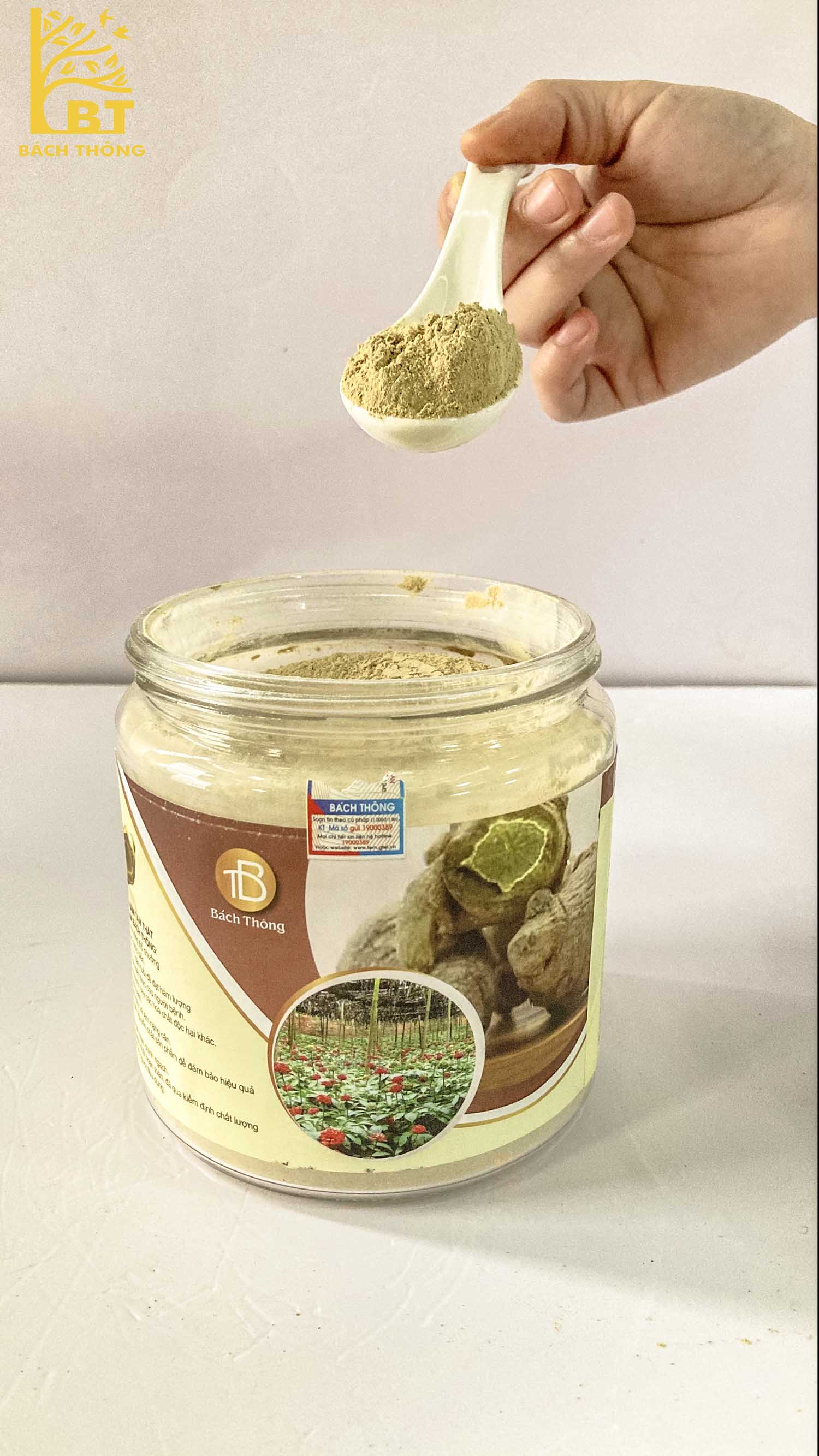 Tam thất Bắc Bách Thông