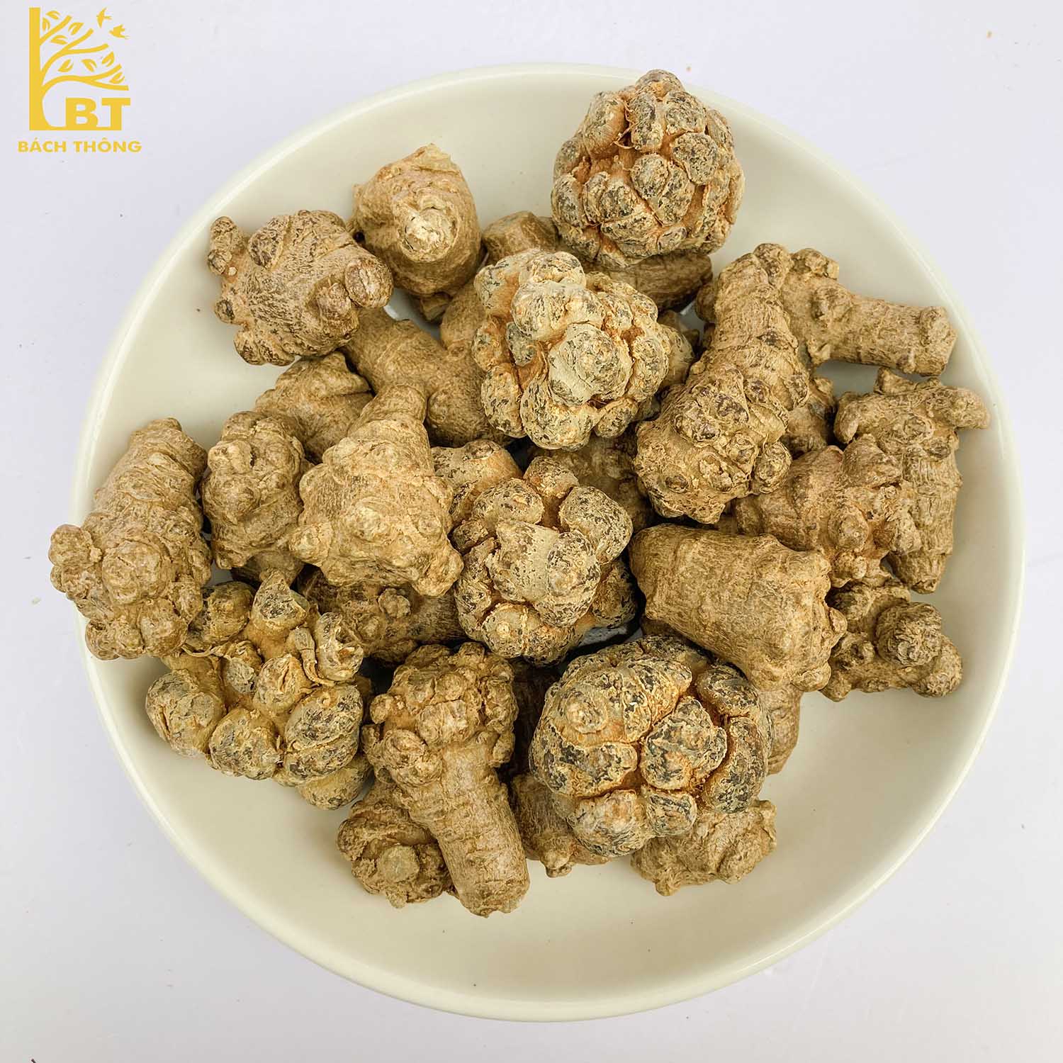 Tam thất Bắc Bách Thông