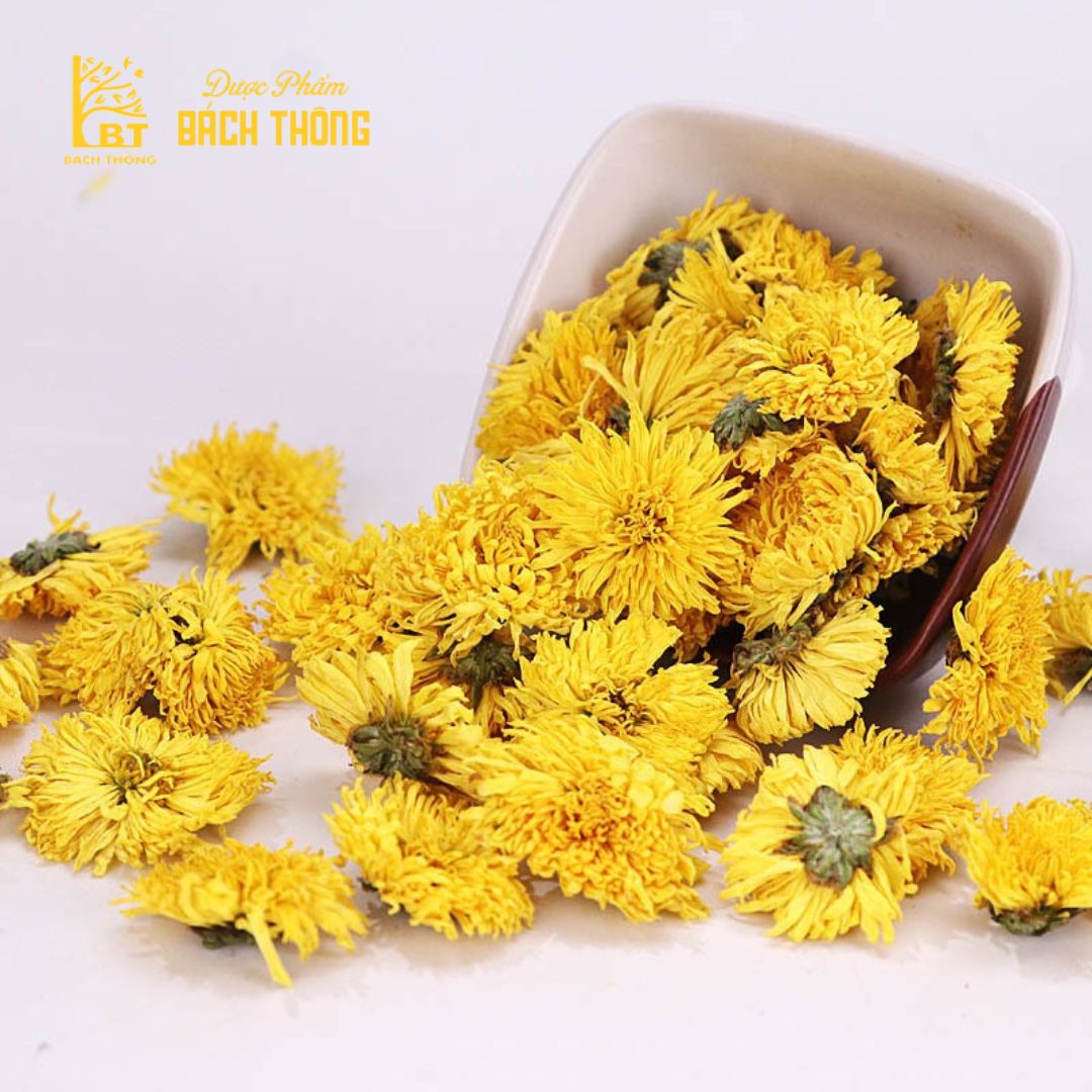 Cúc Hàm Hương - Bách Thông