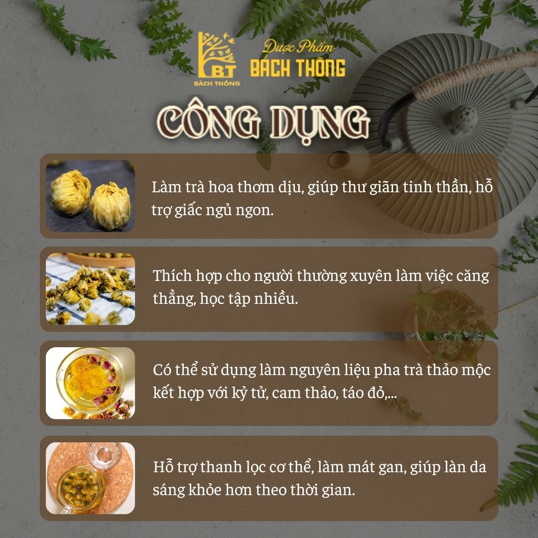 Cúc Hàm Hương - Bách Thông