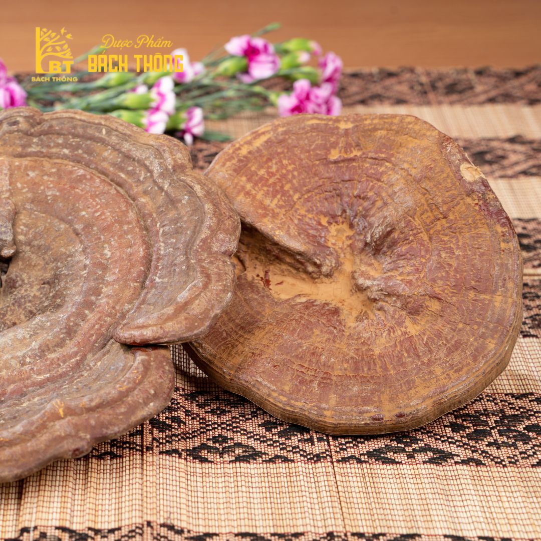 [Túi 100g] Nấm Linh Chi Thái Lát