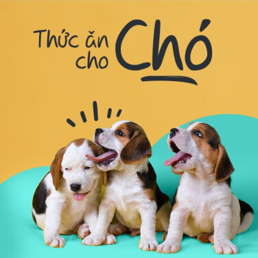 banner_group_2_4.jpg