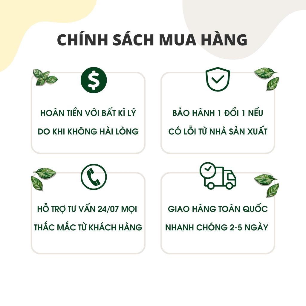 Sa tế sò điệp Thích Cay 250g