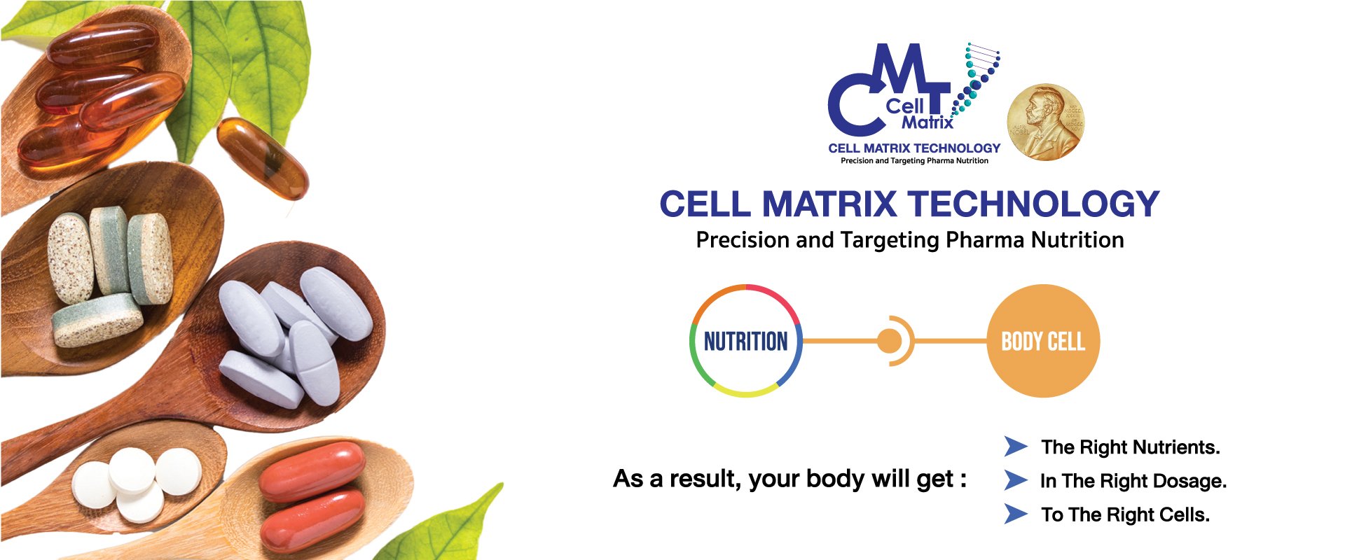 What are Cell Matrix® Nutrients?