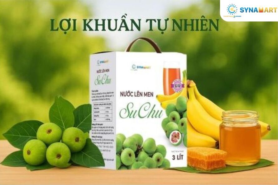 SuChu: Lợi Khuẩn Trong Thực Phẩm Lên Men Tự Nhiên Là Gì?