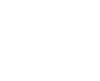 logo viethaagriorganic