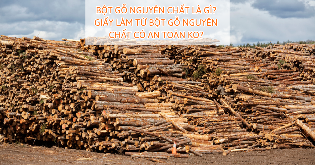 Bột gỗ nguyên chất là gì? Giấy làm từ bột gỗ nguyên chất có an toàn ko?