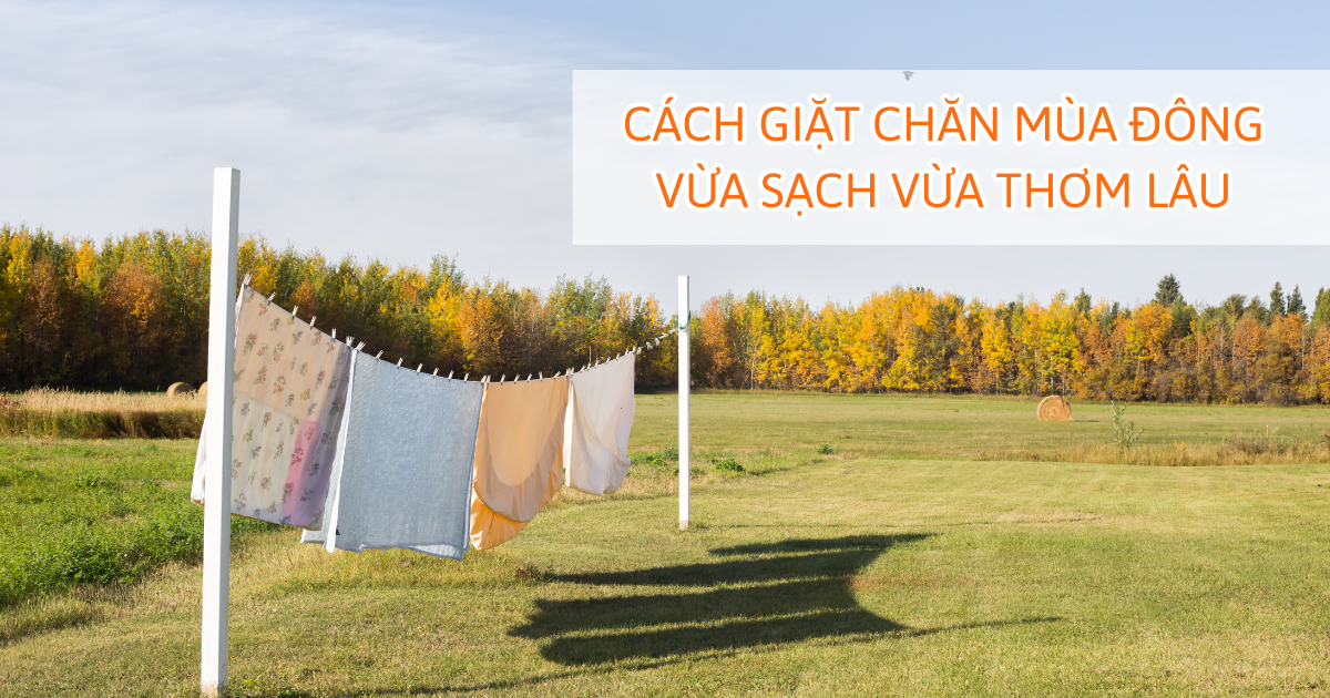 Cách giặt chăn mùa đông vừa sạch vừa thơm lâu