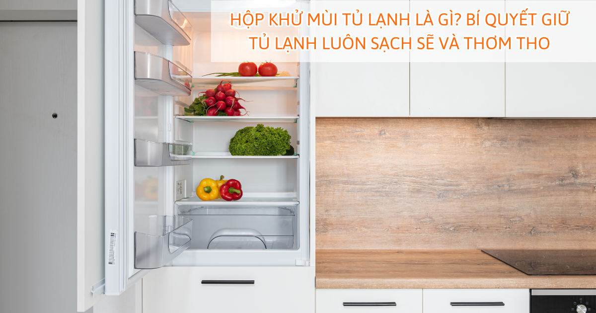 Hộp khử mùi tủ lạnh là gì? Bí quyết giữ tủ lạnh luôn sạch sẽ và thơm tho