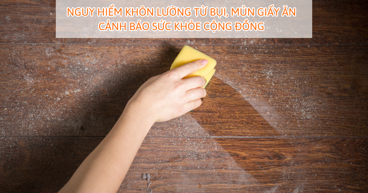 Nguy hiểm khôn lường từ bụi, mủn giấy ăn - Cảnh báo sức khỏe cộng đồng