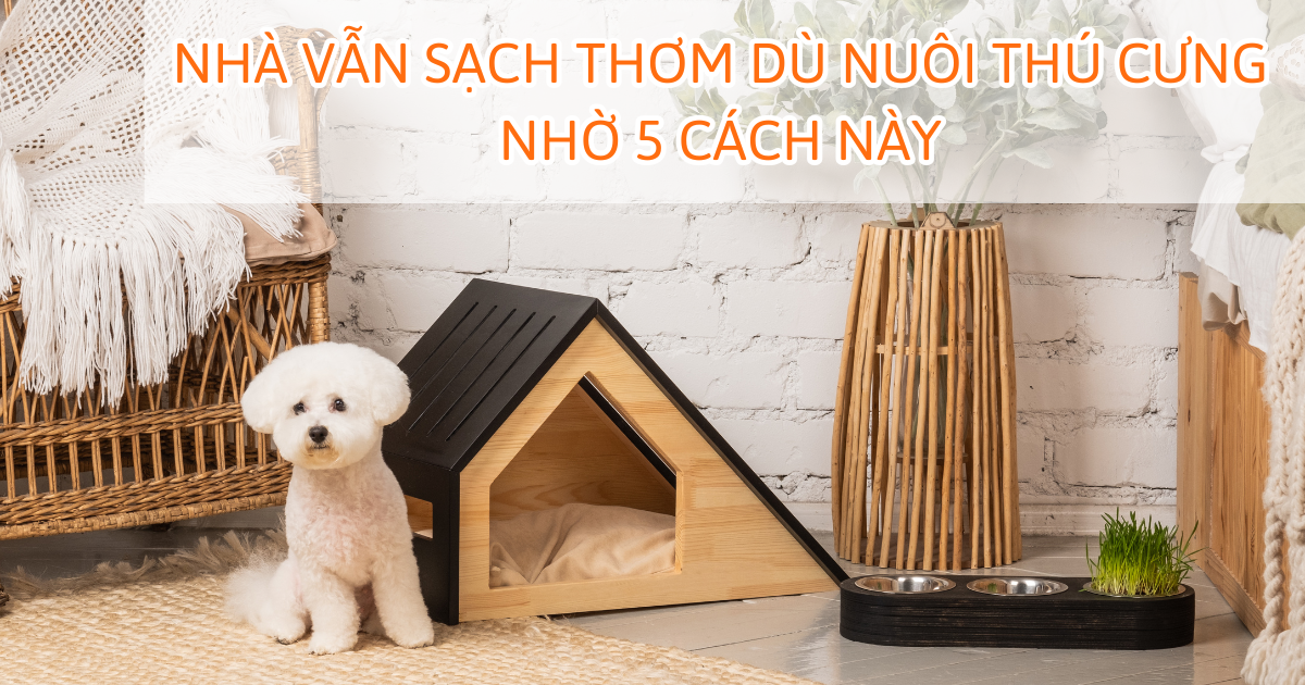 Nhà vẫn sạch thơm dù nuôi thú cưng nhờ 5 cách này