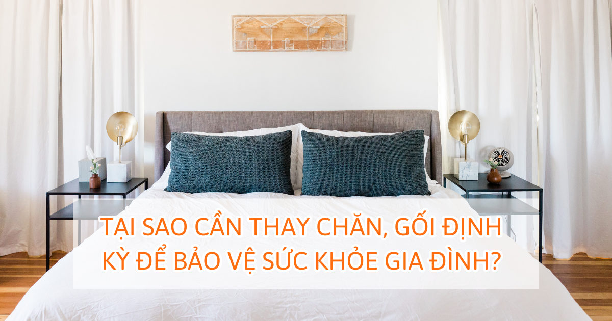 Tại sao cần thay chăn, gối định kỳ để bảo vệ sức khỏe gia đình?