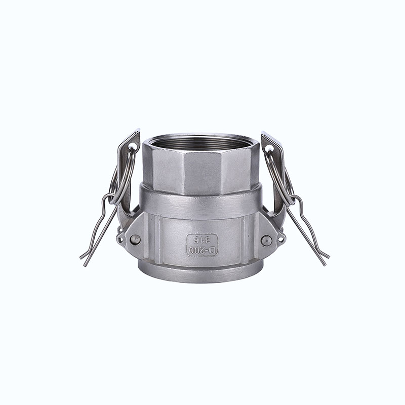 Khớp nối nhanh Camlock inox 304 kiểu D