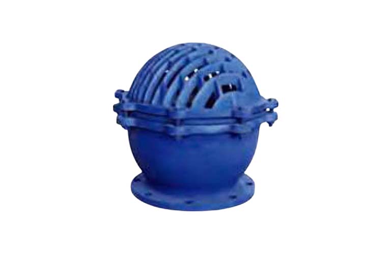 Rọ Bơm BTL DN50 – DN400, Gang Dẻo PN25