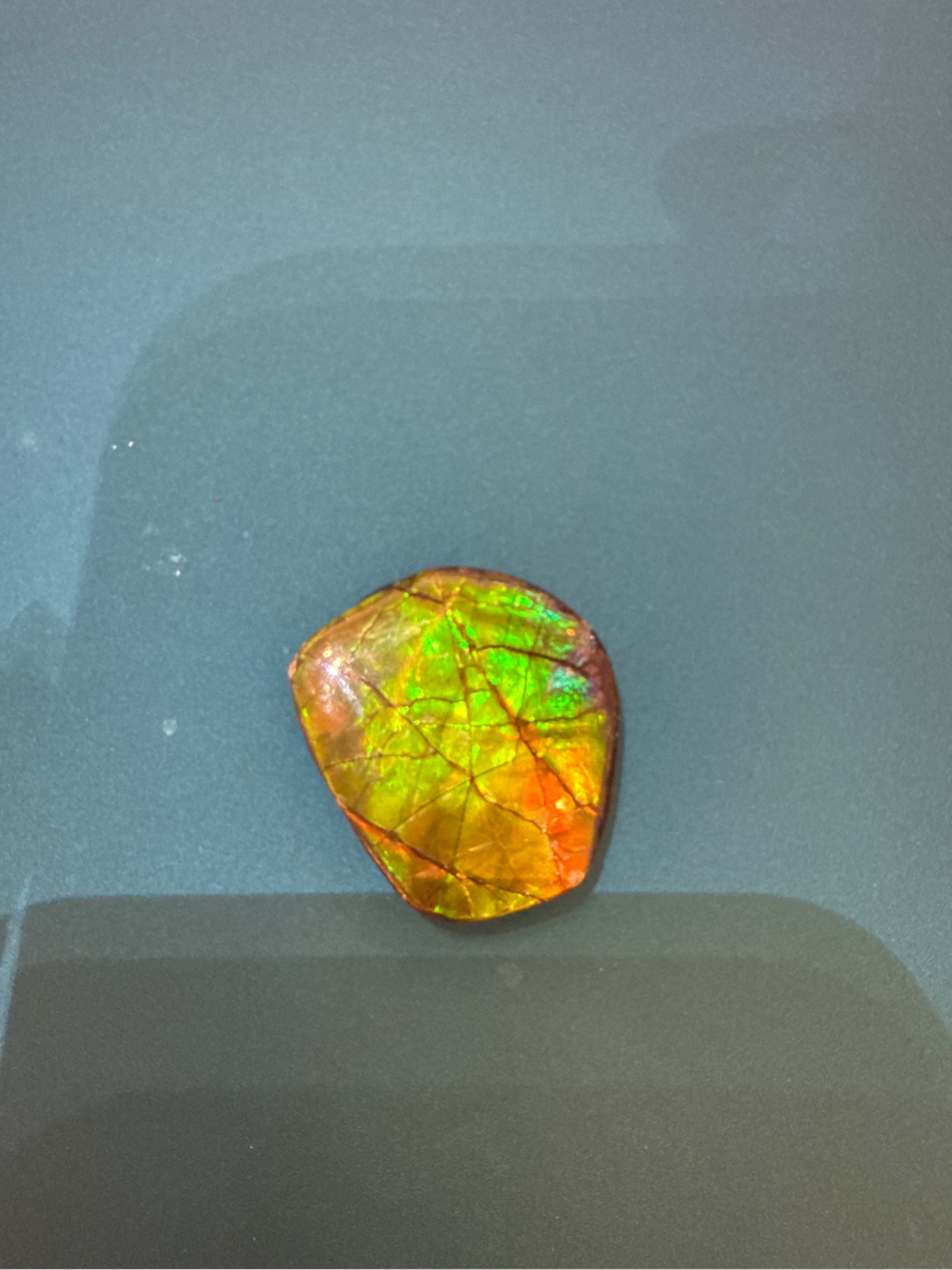 Mặt Dây Chuyền Hoá Thạch Ốc Sên Ammolite