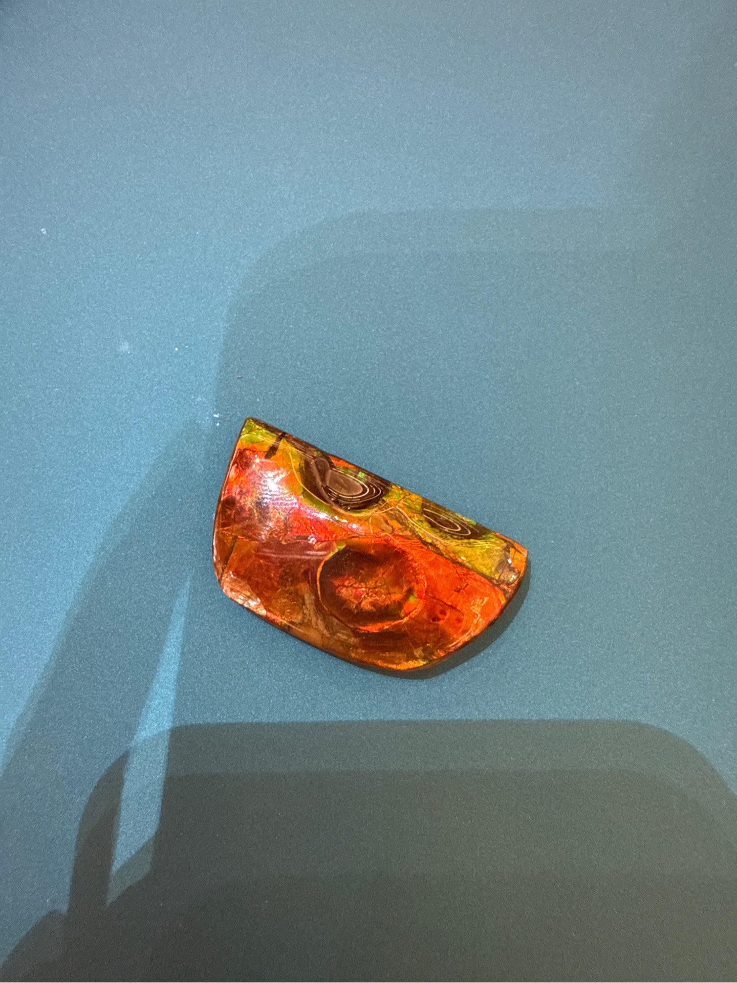 Mặt Dây Chuyền Hoá Thạch Ốc Sên Ammolite