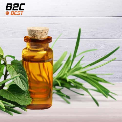 trị gàu bằng dầu tràm trà