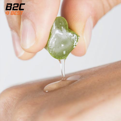 chăm sóc da bằng nha đam