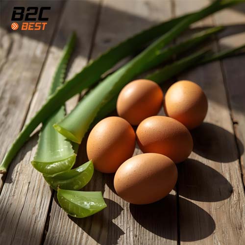 5 Cách Làm Tóc Mọc Nhanh Bằng Mặt Nạ Trứng và nha đam