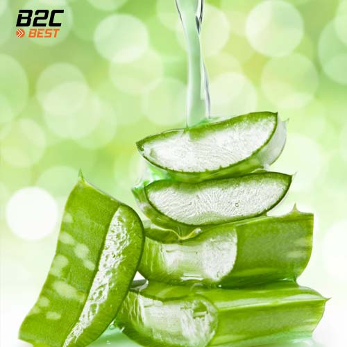 ủ tóc bằng gel nha đam nguyên chất