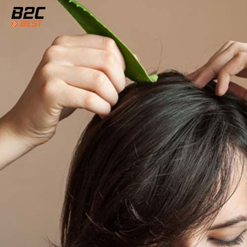 trị gàu bằng gel nha đam
