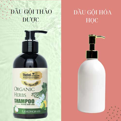 so sanh dau goi thao duoc và dau goi hoa hoc