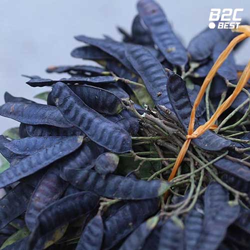 trị gàu bằng bồ kết