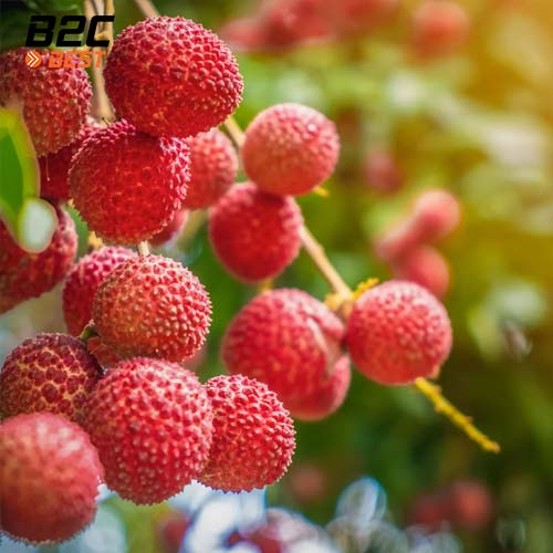 Top 10 Loại Trái Cây Có Thể Gây Mụn Bất Ngờ Mà Bạn Nên Biết-1