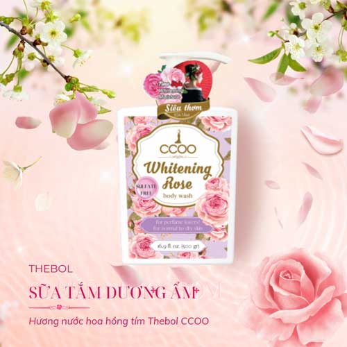 sua-tam-duong-am-thebol