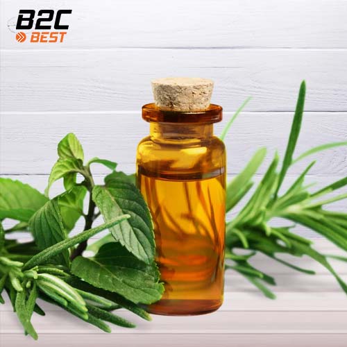 tinh dầu tràm trà thành phân tự nhiên tốt nhất trong sung dịch vệ sinh