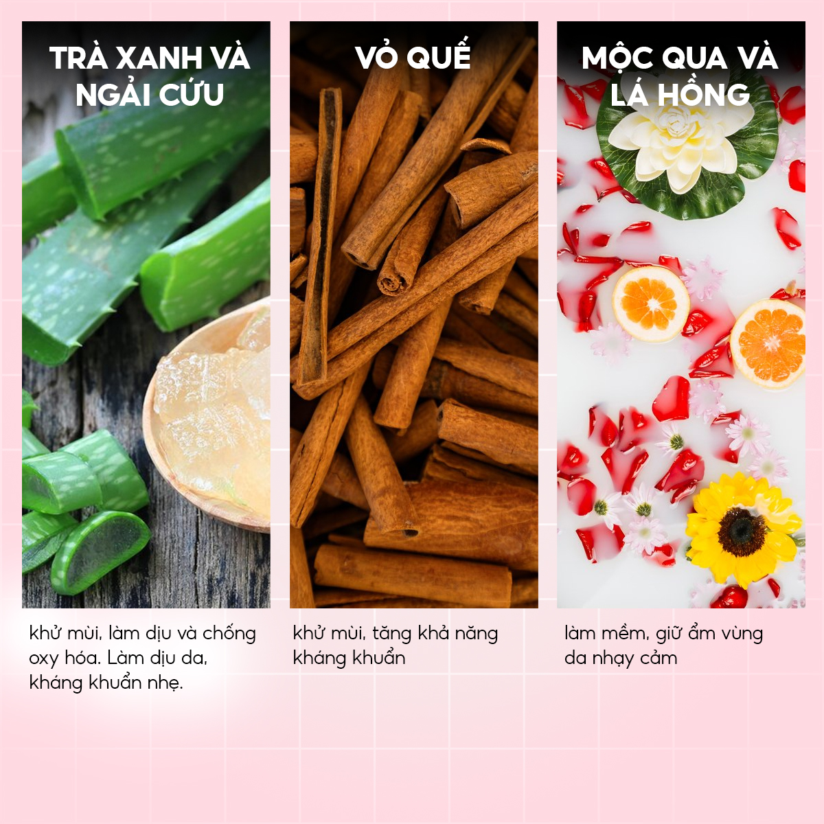 THEBOL - DUNG DỊCH VỆ SINH PHỤ NỮ TRINH NỮ HOÀNG CUNG (150G)