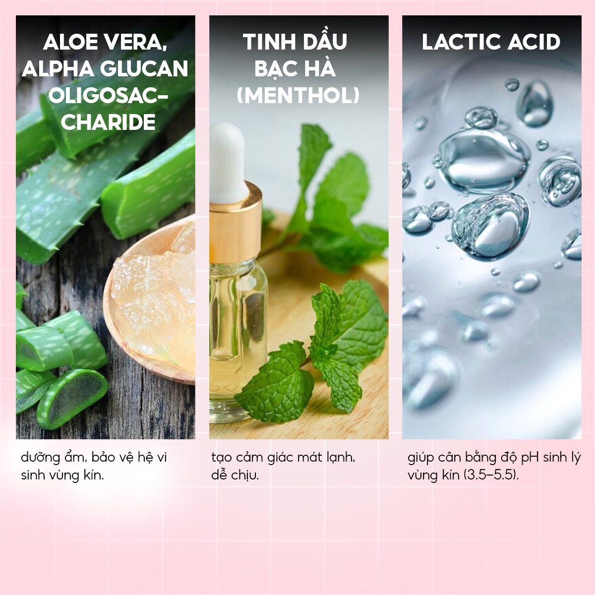 THEBOL - DUNG DỊCH VỆ SINH PHỤ NỮ TRINH NỮ HOÀNG CUNG (150G)