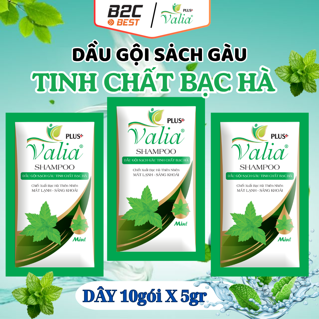 DẦU GỘI SẠCH GÀU TINH CHẤT BẠC HÀ VALIA PLUS (DÂY 5G/10 GÓI)