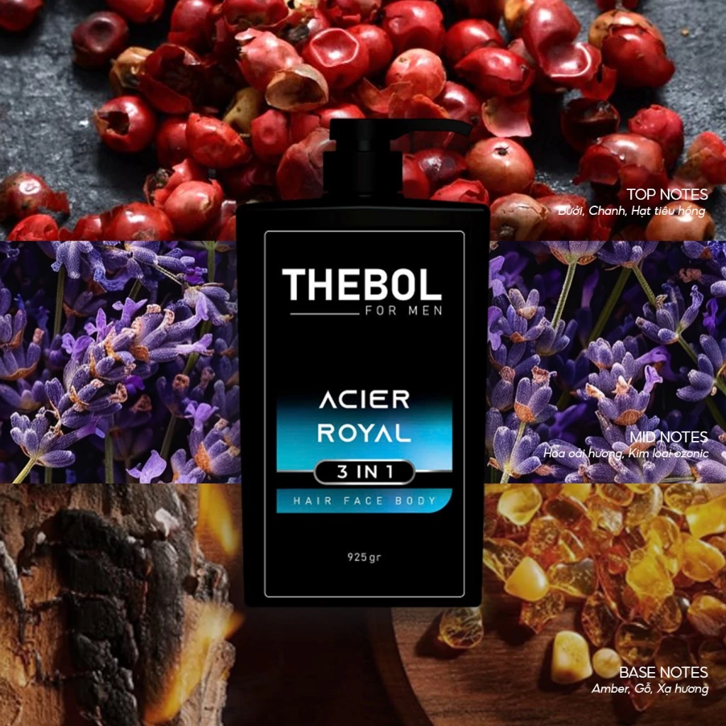 TẮM GỘI RỬA MẶT 3IN1 THEBOL FOR MEN – ACIER ROYAL