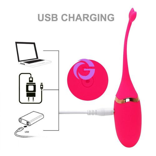 Trứng rung tình yêu cá heo Private