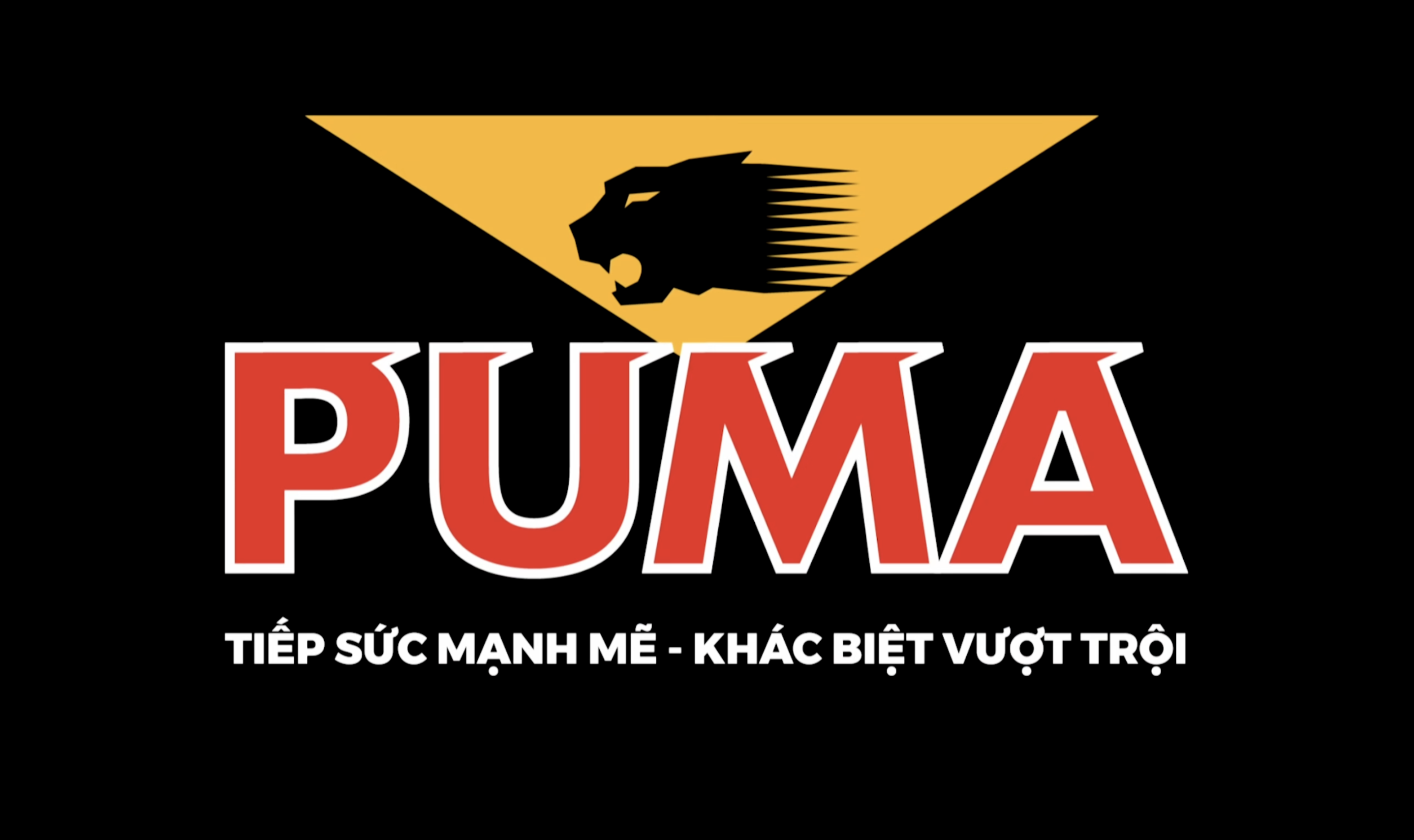 ẮC QUY PUMA - TIẾP SỨC MẠNH MẼ, KHÁC BIỆT VƯỢT TRỘI