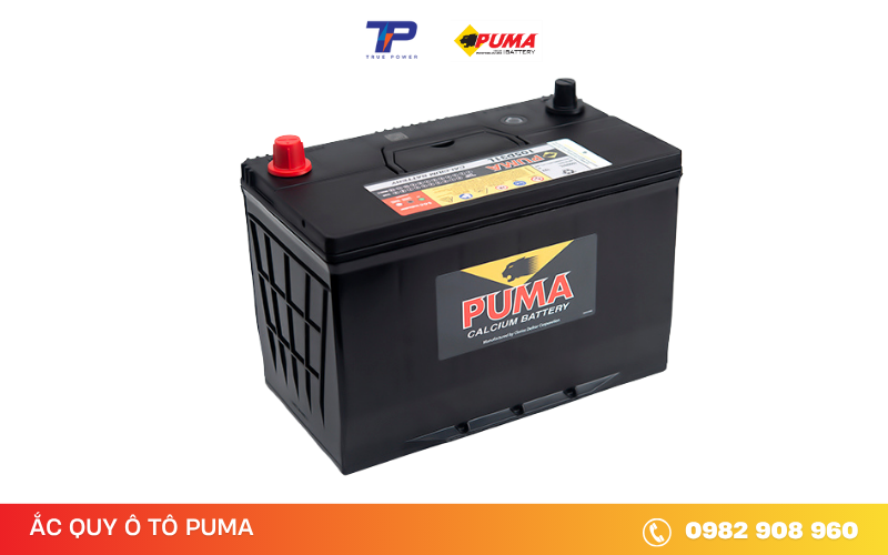 ac-quy-puma-105D31L