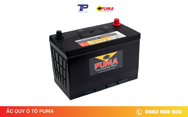 ac-quy-puma-105d31r