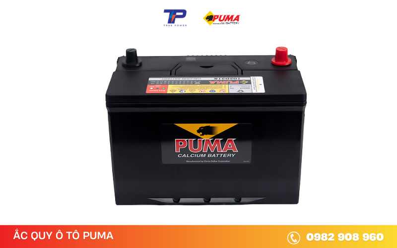 ac-quy-puma-105d31r