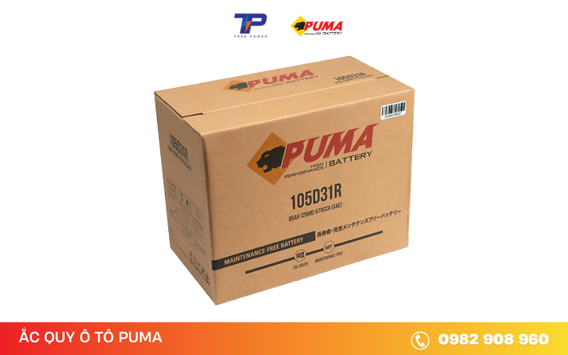 ac-quy-puma-105d31r