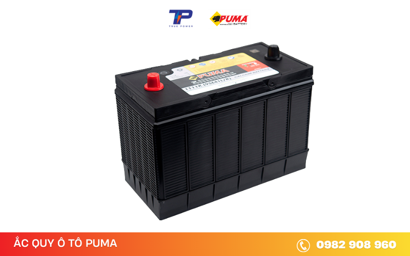 ac-quy-puma-1111K (95E41L/R)