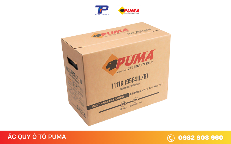 ac-quy-puma-1111K (95E41L/R)