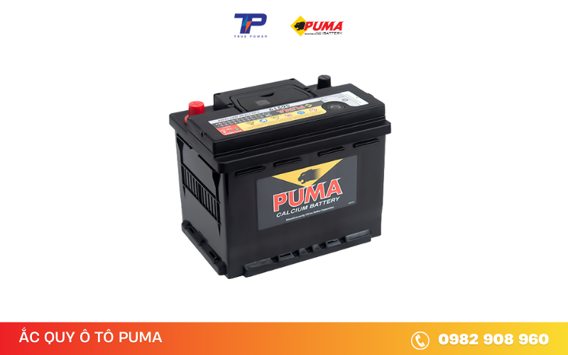ac-quy-puma-56219