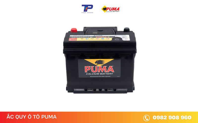 ac-quy-puma-56219