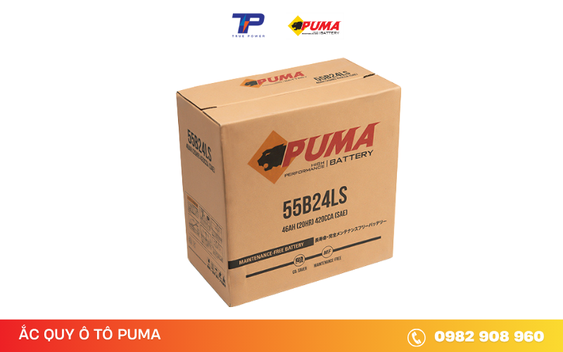 ac-quy-o-to-puma-55b24ls