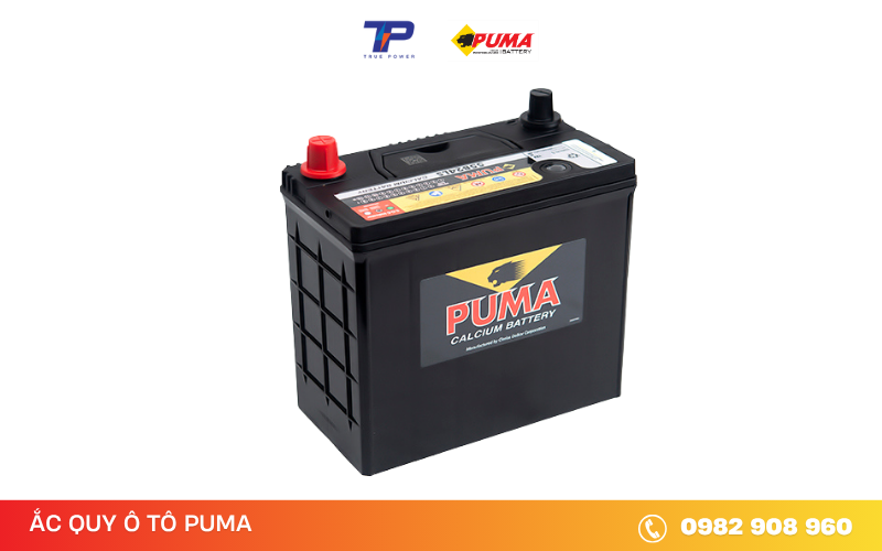ac-quy-o-to-puma-55b24ls