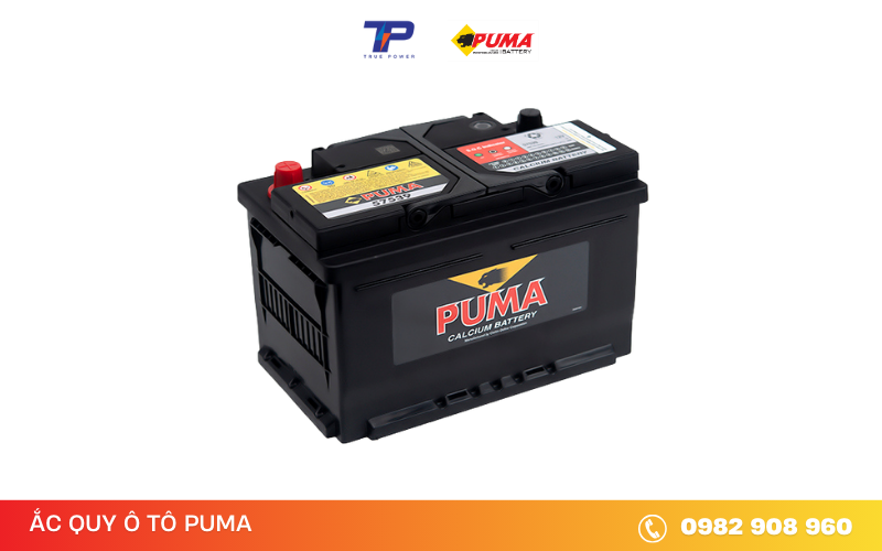 ac-quy-puma-57539
