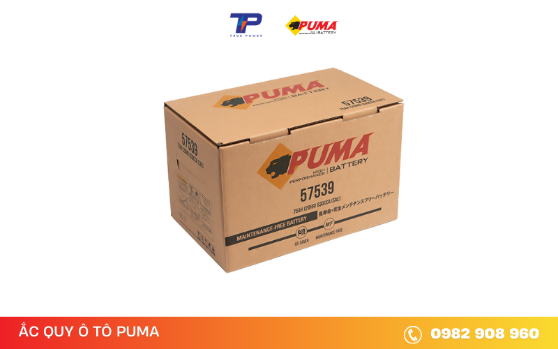 ac-quy-puma-57539