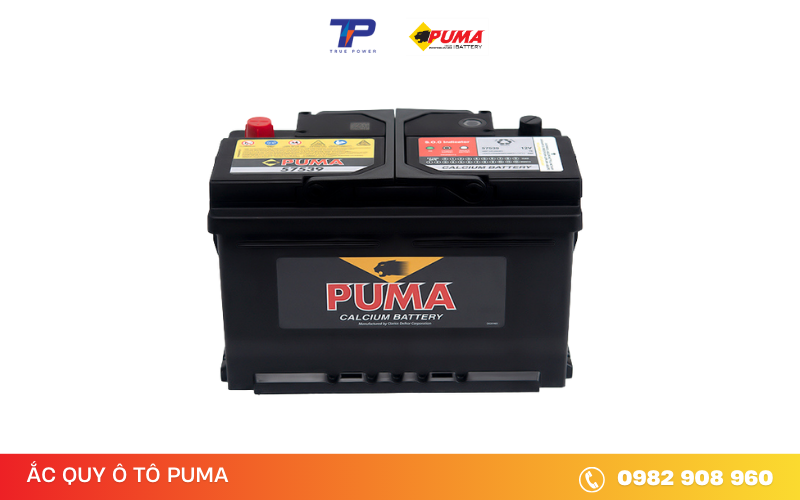ac-quy-puma-57539